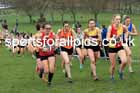 Senior Women, 2024 CAU Inter Counties Cross Country Champs., Wollaton Park, Nottingham. Photo: David T. Hewitson/Sports for All Pics